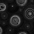 Boho Area Rug: Exotic Black and White Design, Washable, Non-Slip