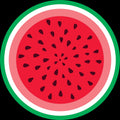 Watermelon Round Rug Fruit Kids Playroom Circle Carpet Washable