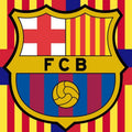 Barcelona Rug Barca Rug Football Team Rug Soccer Rug Champions
