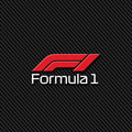 Ferrari F1 Rug F1 Carbon Pattern Formula 1 Racing Carpet for