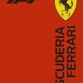 Ferrari F1 Rug Ferrari Rug Formula 1 Racing Carpet for Garage &
