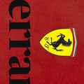 Ferrari F1 Rug Ferrari Garage Rug Formula 1 Racing Carpet for