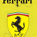 Ferrari F1 Rug Formula 1 Style Formula 1 Racing Carpet for Garage