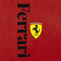 Ferrari F1 Rug, Ferrari Tapestry: Car Wall Hanging