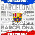 Barcelona Football Team Rug: Soccer Fan Gift, Soft Velvet Carpet