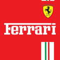 Ferrari F1 Rug Crafting Designs Formula 1 Racing Carpet for