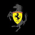 Ferrari F1 Rug Big Logo on Carpet Formula 1 Racing Carpet for