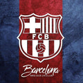 FC Barcelona Rug Barcelona Fc Rug Barça Carpet for Fans & Kids