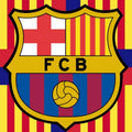 FC Barcelona Rug Barcelona Fc Rug Barça Carpet for Fans & Kids