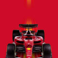 Ferrari F1 Rug Ferrari F1 Car Rug Formula 1 Racing Carpet for