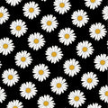 Daisy Rug Nonslip Rug Modern Rug 8x10 Rug Area Rug Macabre Rug