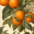 Orange Rug Art Rug Nonslip Rug Modern Rug 8x10 Rug Area Rug
