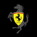 Ferrari F1 Rug Ferrari Garage Rug: Personalized Car Enthusiast