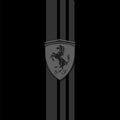 Ferrari F1 Rug Ferrari Rug Formula 1 Racing Carpet for Garage &