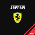 Ferrari F1 Rug, Ferrari Tapestry: Car Lover Gift