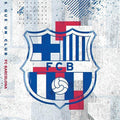 FC Barcelona Rug, FC Barcelona Tapestry: Football Club Wall Decor
