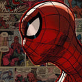 Spiderman Rug, Spider Man Rug, Kids Room Decor, Chield Rug, Boys