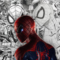 Amazing Spiderman Rug, Spider Man Rug, Kids Room Decor, Chield