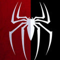 Spider Rug, Spiderman Rug, Spider Man Rug, Kids Room Decor, Boys