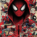 Spiderman Rug, Spider Man Rug, Kids Room Decor, Chield Rug, Boy