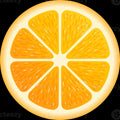 Orange Slice Area Rug Citrus Fruit Kitchen Kids Room Carpet