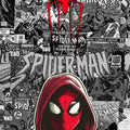 Marvel Comics Rug, Hooded Spider-Man Art