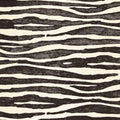 Abstract Zebra Print Rug, Black and White