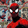 Spiderman Rug, Spider Man Rug, Kids Room Decor, Chield Rug, Boys