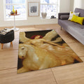 Angel Pegasus Area Rug, Fantasy Zen Decor, Non-Slip Floor Mat