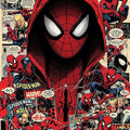Marvel Comics Rug, Hooded Spider-Man Art