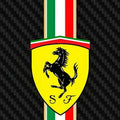 Ferrari Carbon Fiber Rug Italian Flag Tricolore Prancing Horse