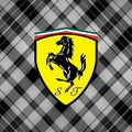 Ferrari F1 Rug Ferrari Rug Formula 1 Racing Carpet for Garage &