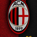 AC Milan Rug, Red Black Leather Texture