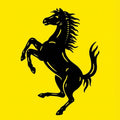 Ferrari Car Logo Area Rug Prancing Horse Yellow Racing Floor Mat