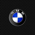 BMW Logo Area Rug Carbon Fiber Texture Racing Floor Mat Modern