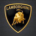 Lamborghini Logo Area Rug Gold Raging Bull Sports Car Floor Mat
