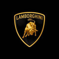 Lamborghini Logo Area Rug Gold Raging Bull Sports Car Floor Mat