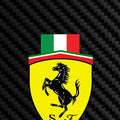Ferrari Logo Area Rug Man Cave Garage Bedroom Carpet Washable